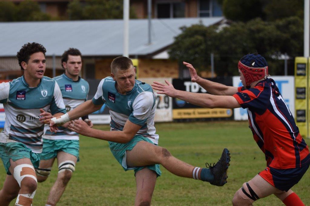 3 Greens Boys Shine in Country Championships Win